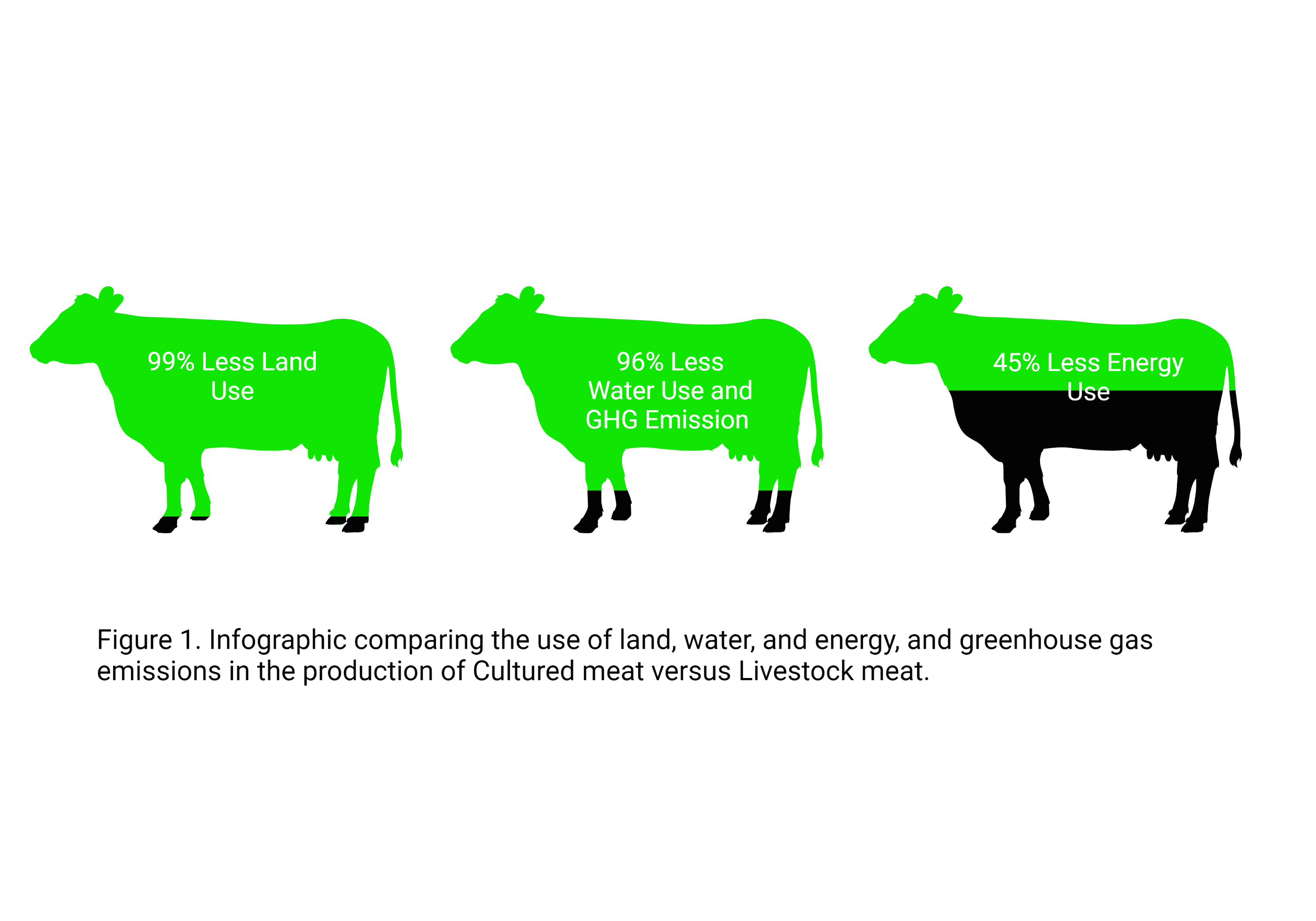 Figure 1. Infographic comparing the use of land, water and energy, and greenhouse gas emissions in the production of Cultured meat versus Livestock meat