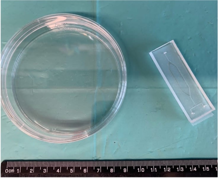 Figure 1. Scale of an example microfluidic device compared to a petri dish which is traditionally used for cell culture Image Source: P.C. Hurley