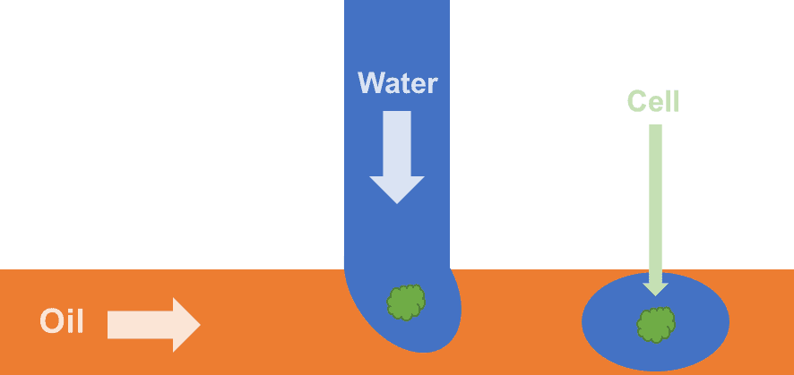 Figure 2 – Schematic diagram of a typical microfluidic water-in-oil droplet generator for encapsulating single cells.
