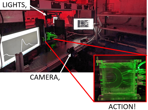 Figure 1: Image of the experimental set up, showing the laser light sheet through the phantom (aortic arch).
