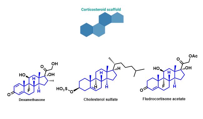 Figure 2-Molecular structures of small molecules (corticosteroids) currently in use/identified for their potential to induce osteogenesis in MSCs.