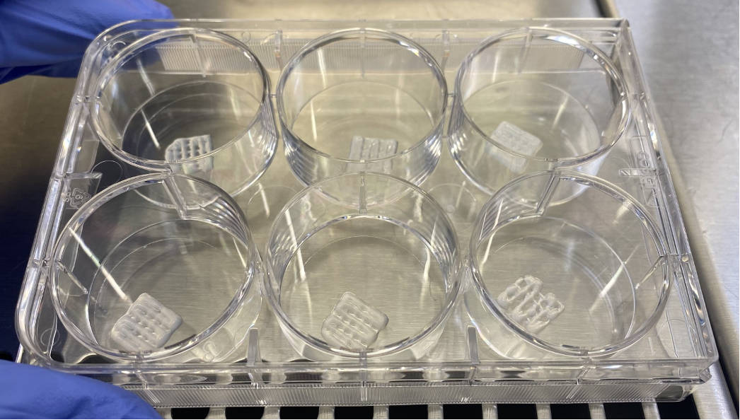 Image of printed gels